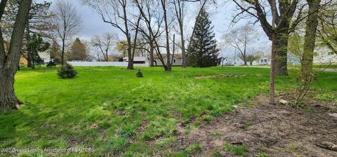15966 Brook Rd, Lansing, MI 48906 photo 4
