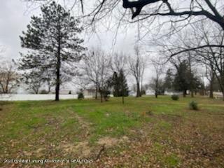 15966 Brook Rd, Lansing, MI 48906 photo 15