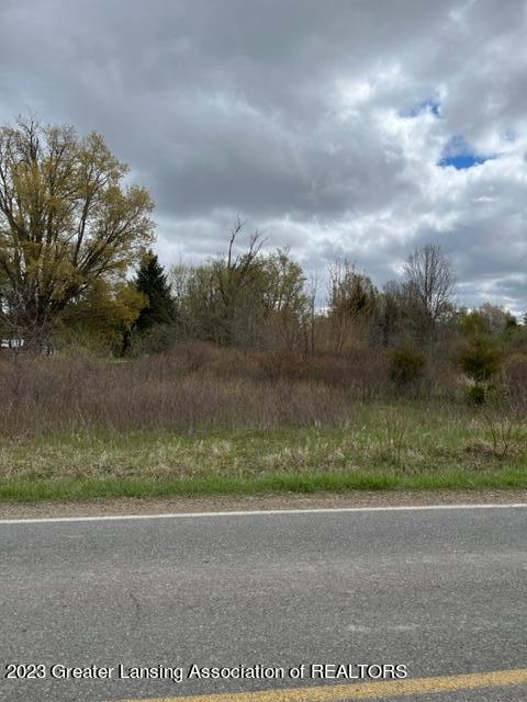 0 W Grand River Rd, Laingsburg, MI 48848