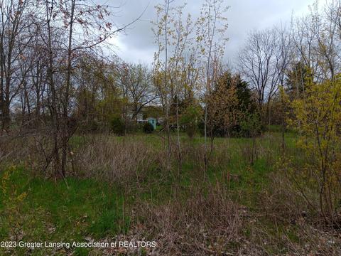 00 W Riverview Dr, Perry, MI 48872 photo 3