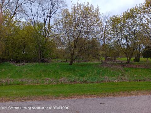 00 W Riverview Dr, Perry, MI 48872