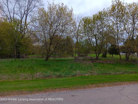 00 W Riverview Dr, Perry, MI 48872 photo 2