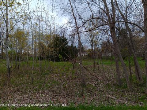 0 W Riverview Dr, Perry, MI 48872 photo 3
