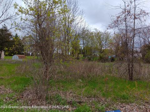 0 W Riverview Dr, Perry, MI 48872 photo 2