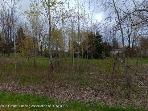 0 W Riverview Dr, Perry, MI 48872