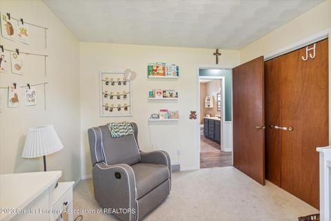 11056 W 5th St, Fowler, MI 48835 photo 24
