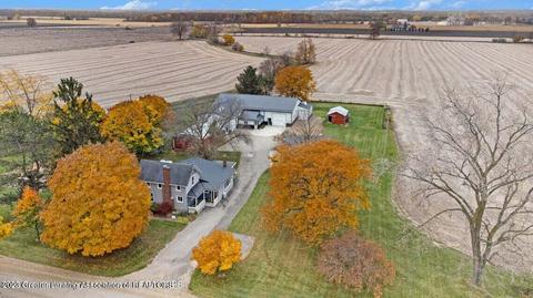 298 E Roosevelt Rd, Ashley, MI 48806 photo 49