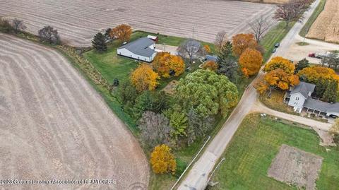 298 E Roosevelt Rd, Ashley, MI 48806 photo 46