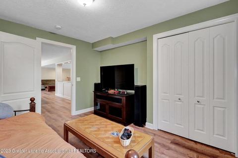 11653 Hidden Spring Trl, Dewitt, MI 48820 photo 38