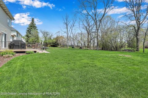 11653 Hidden Spring Trl, Dewitt, MI 48820 photo 45