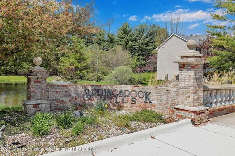 11653 Hidden Spring Trl, Dewitt, MI 48820 photo 48