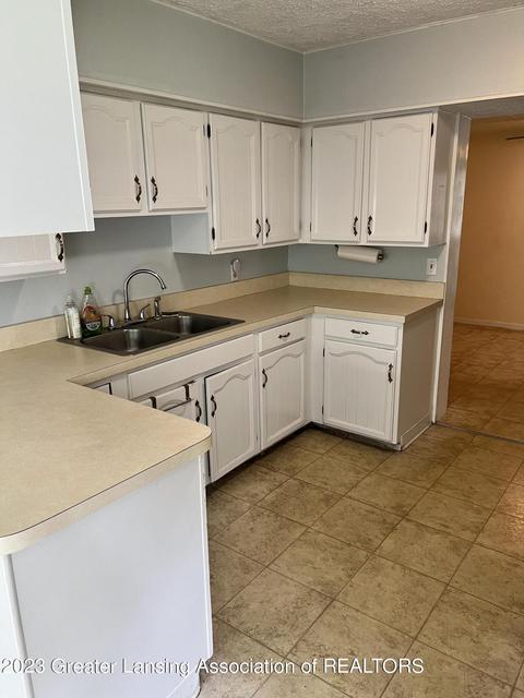 139 Cherry St, Dimondale, MI 48821 photo 2