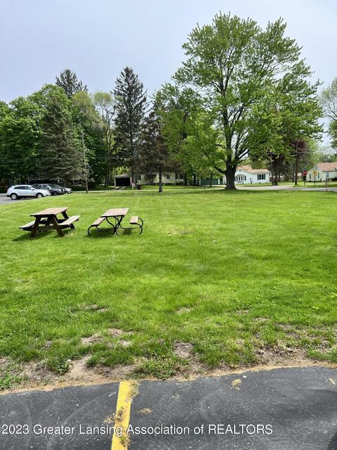 139 Cherry St, Dimondale, MI 48821 photo 27