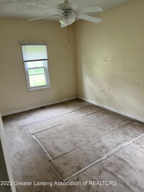 139 Cherry St, Dimondale, MI 48821 photo 16