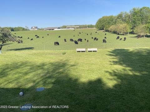 11481 Chandler Rd, Dewitt, MI 48820 photo 26