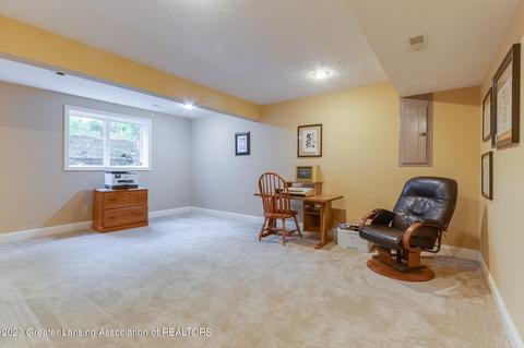 4300 Chancellor Dr, Dewitt, MI 48820 photo 26