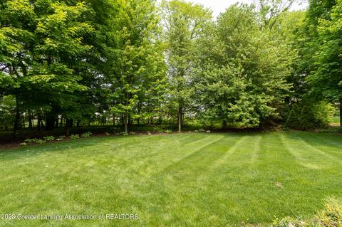 4300 Chancellor Dr, Dewitt, MI 48820 photo 37