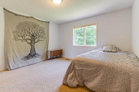 4300 Chancellor Dr, Dewitt, MI 48820 photo 25