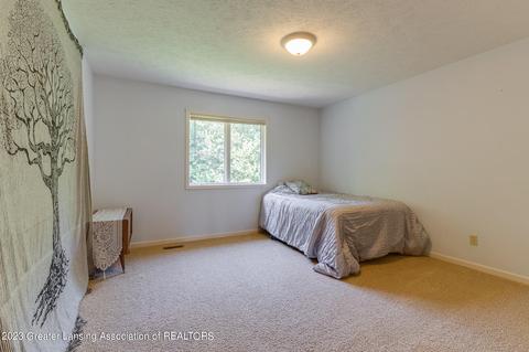 4300 Chancellor Dr, Dewitt, MI 48820 photo 24