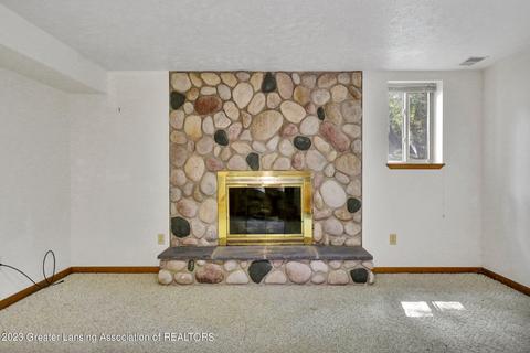 407409 Hickory St, Dewitt, MI 48820 photo 19