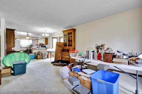 407409 Hickory St, Dewitt, MI 48820 photo 7