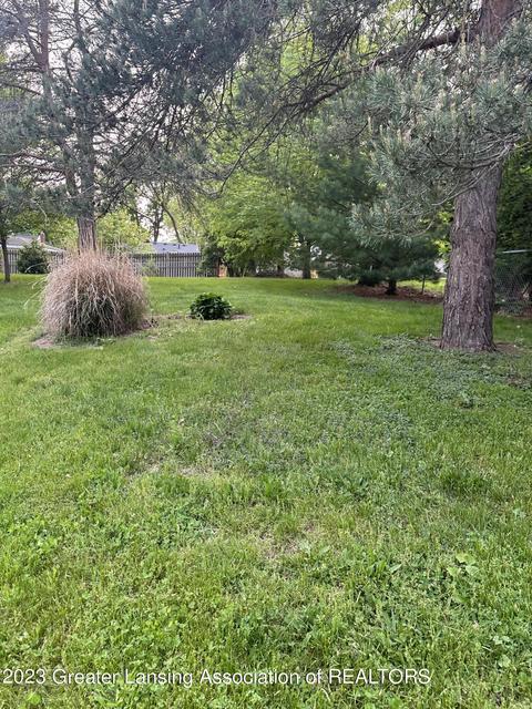 407409 Hickory St, Dewitt, MI 48820 photo 30
