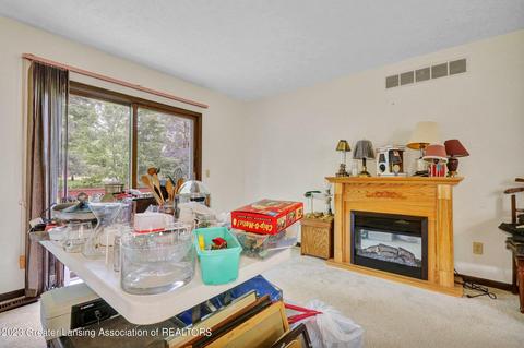 407409 Hickory St, Dewitt, MI 48820 photo 8