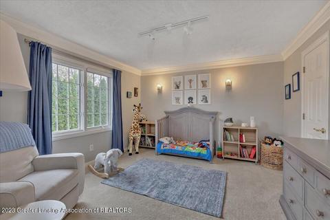 2056 N Timberview Dr, Okemos, MI 48864 photo 31