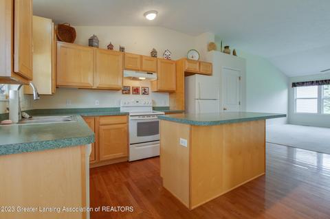 450 Red Cedar Blvd, Williamston, MI 48895 photo 3
