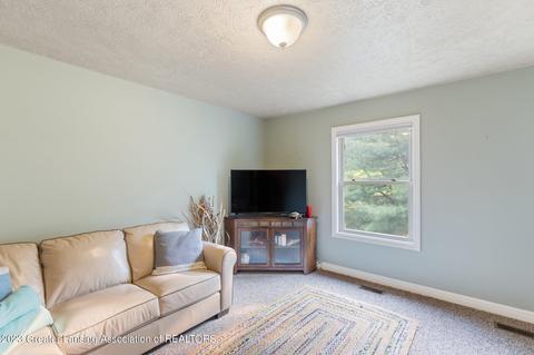 10262 River Rock Blvd, Dimondale, MI 48821 photo 30