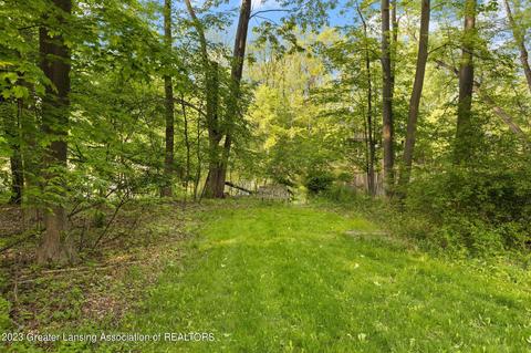 10262 River Rock Blvd, Dimondale, MI 48821 photo 43