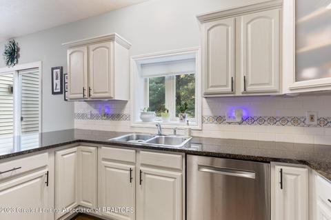 10262 River Rock Blvd, Dimondale, MI 48821 photo 18