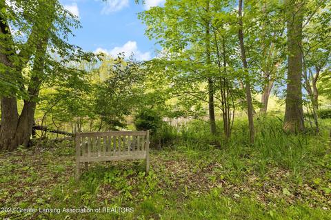 10262 River Rock Blvd, Dimondale, MI 48821 photo 44