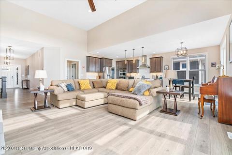 12920 Serenity Pl, Dewitt, MI 48820 photo 3