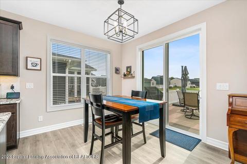 12920 Serenity Pl, Dewitt, MI 48820 photo 10
