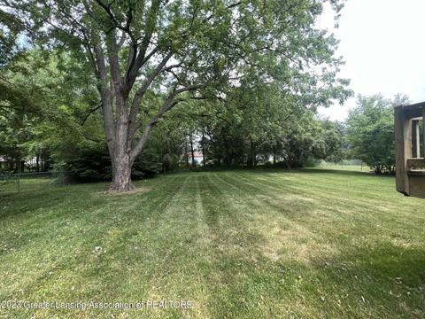 1116 W Herbison Dr, Dewitt, MI 48820 photo 14