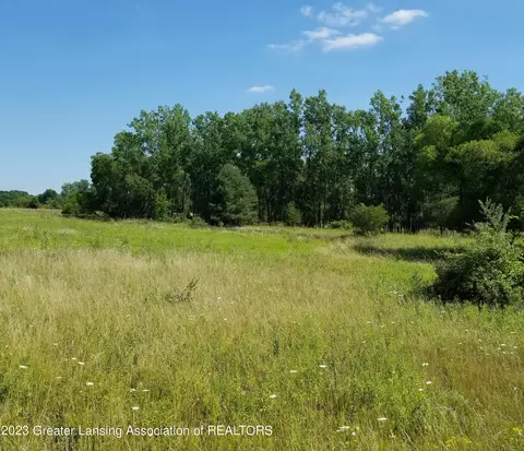 V/l Wacousta Road, Dewitt, MI 48820 photo 10