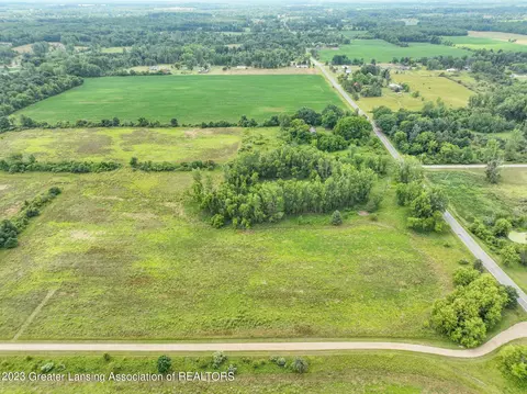 V/l Wacousta Road, Dewitt, MI 48820