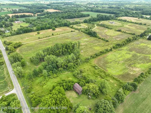 V/l Wacousta Road, Dewitt, MI 48820 photo 5