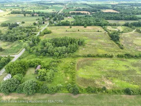 V/l Wacousta Road, Dewitt, MI 48820 photo 4