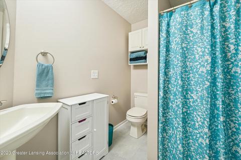 414 W Dill Dr, Dewitt, MI 48820 photo 29