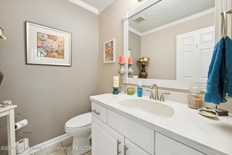 414 W Dill Dr, Dewitt, MI 48820 photo 24