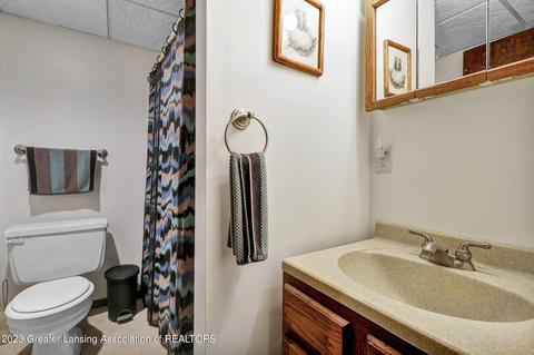 9422 Pineview Dr, Olivet, MI 49076 photo 31