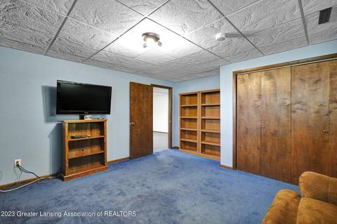 9422 Pineview Dr, Olivet, MI 49076 photo 30