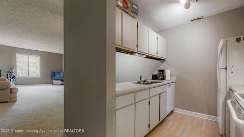 Undisclosed, Okemos, MI 48864 photo 8