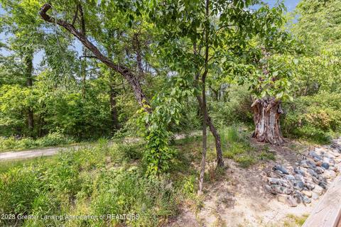 13795 Mead Creek Rd, Bath, MI 48808 photo 34
