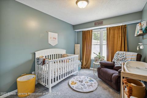 13795 Mead Creek Rd, Bath, MI 48808 photo 14