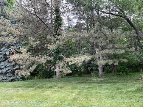 1305 Valley View Rd, Lansing, MI 48906 photo 4