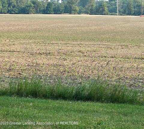 V/l Hyde Rd Road, Maple Rapids, MI 48853