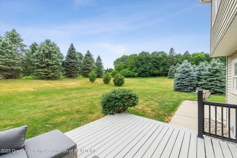 12946 Chartreuse Dr, Dewitt, MI 48820 photo 43